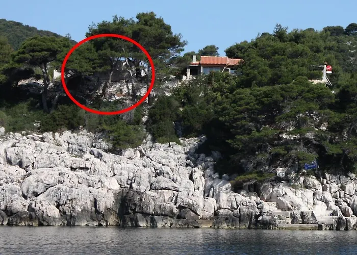 By The Sea Cove Saplunara, Mljet - 4914 *